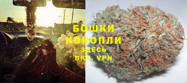стаф Рославль