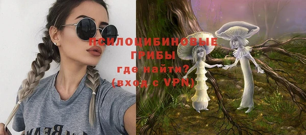 крисы Алексеевка