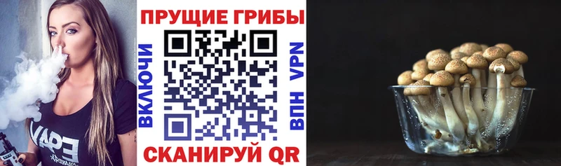Псилоцибиновые грибы MAGIC MUSHROOMS  нарко площадка официальный сайт  Белоярский 
